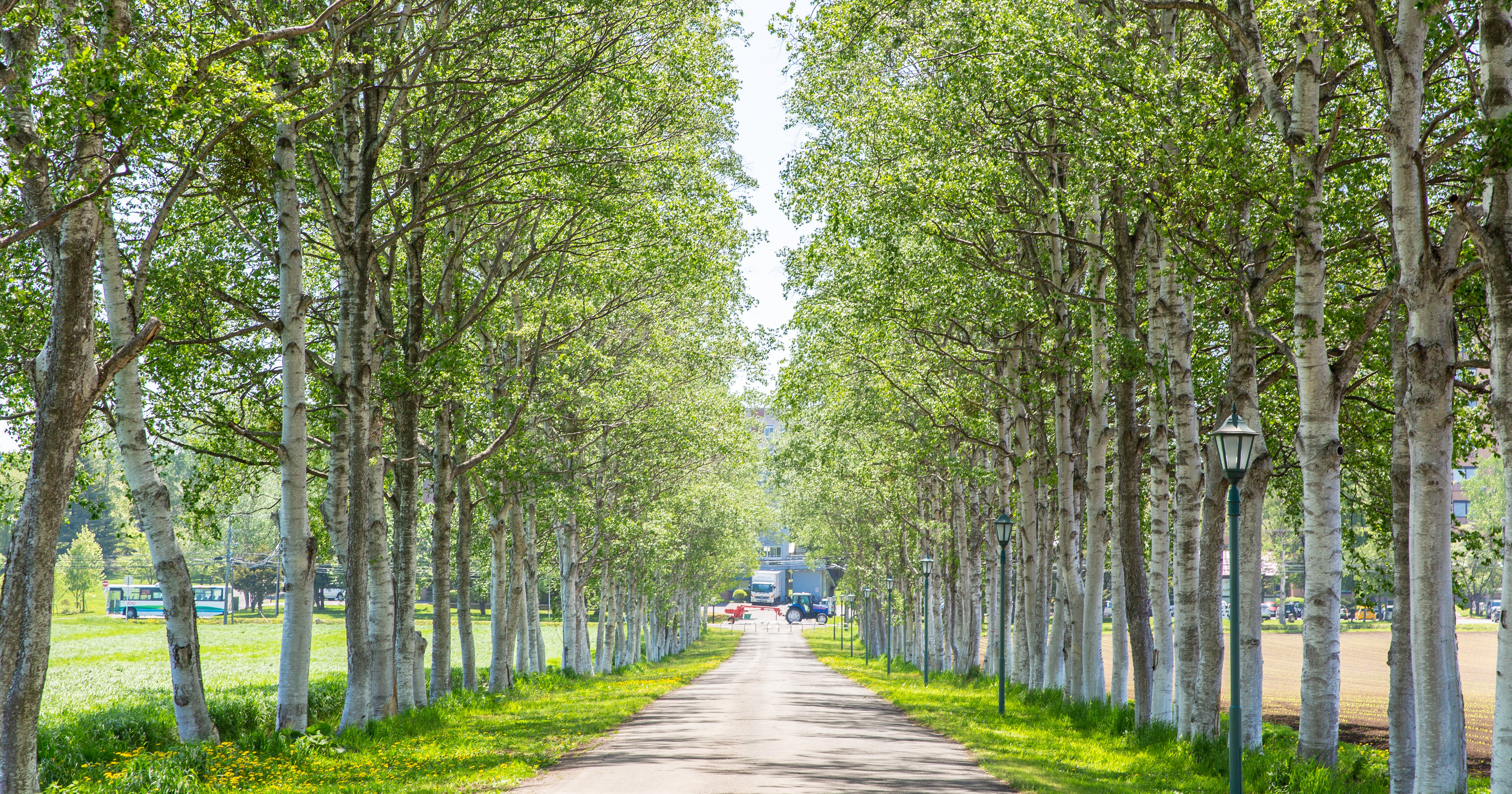 イベント情報 酪農学園大学 マイページ